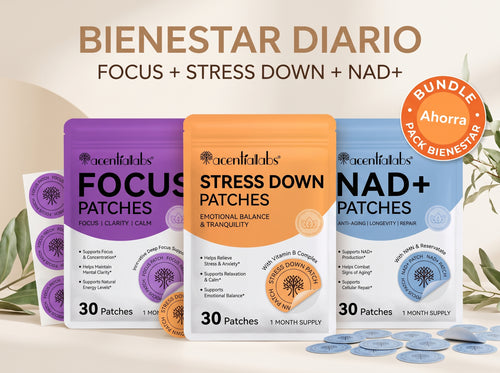 Bundle Parches Transdermicos FOCUS