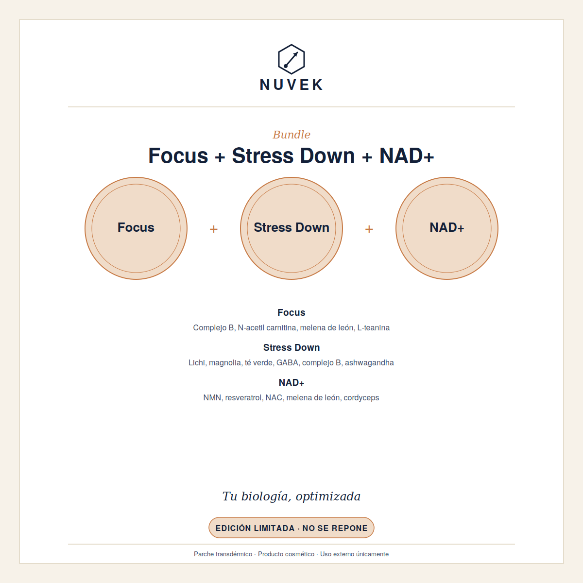 Bundle Parches Transdermicos FOCUS