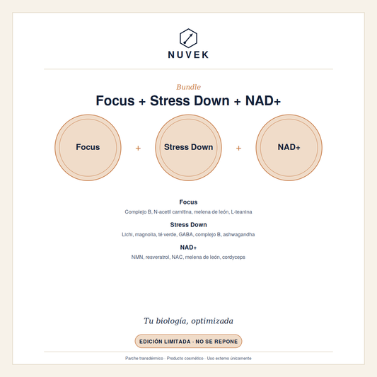 Bundle Parches Transdermicos FOCUS
